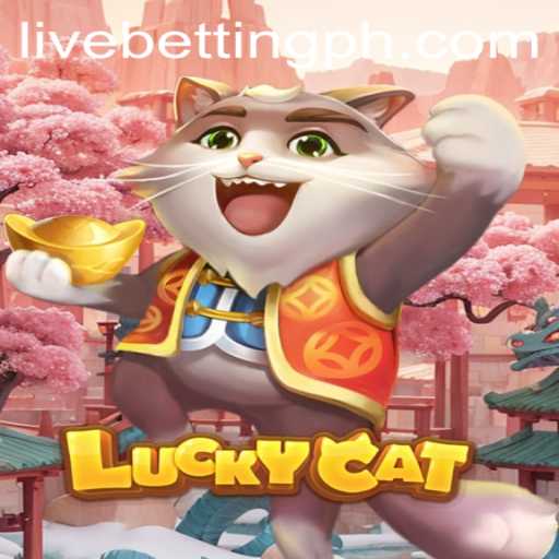 Exploring LuckyCat: The Thrilling World of Live Betting